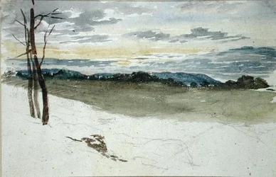 Waldlandschaft bei Sonnenuntergang