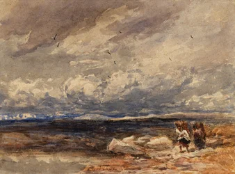 Auf Carrington Moss