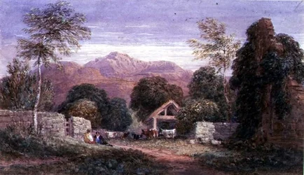 Blick auf Cader Idris