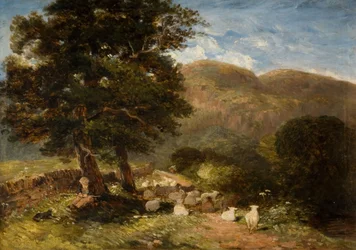 Schafe hüten, Bettws-y-Coed