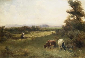 Ein Sommernachmittag in der Nähe von Blairgowrie