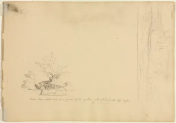 Landschafts- und Baumstudien (Rückseite)