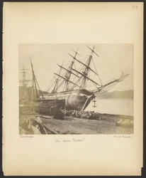 Die "Jane Tudor"