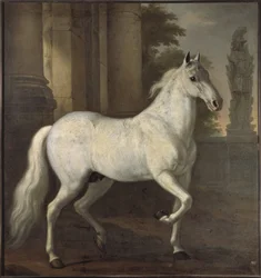 Karl XI:s Leibpferd Brilliant