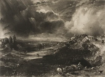 Eine Heide