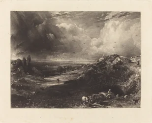 Eine Heide