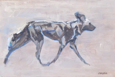 Afrikanischer Wildhund