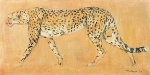 Gepard auf der Pirsch, 2021