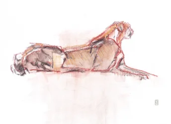 Gepard aufmerksam
