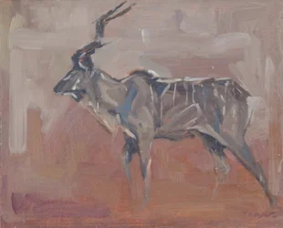 Kudu-Bulle, 2018