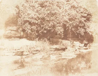 Burnside, Fife Insel im Almond River, 1843-47