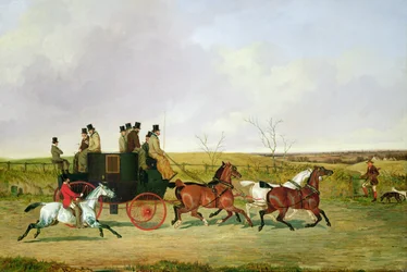 Pferd und Kutsche