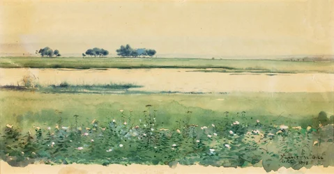 Landschaft mit Sümpfen