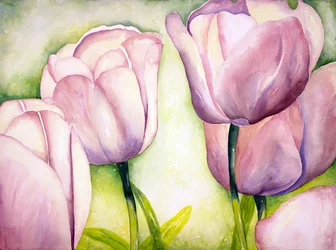 Lavendeltulpen, 2006