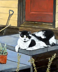 Nachbars Katze