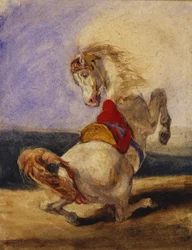 Steigendes Pferd