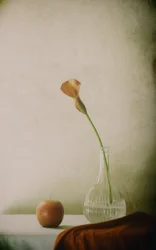 Calla-Lilie und Apfel Stillleben
