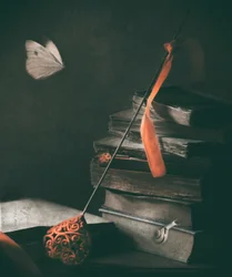 Dunkle Akademie Schmetterling