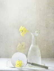 Träumerische gelbe Blumen