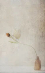 Verblassendes Tulpen-Stillleben