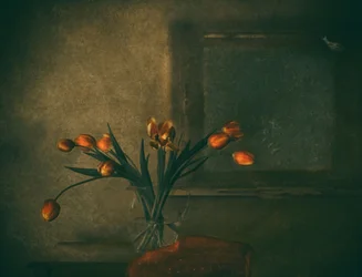 Stimmungsvolle orangefarbene Tulpen