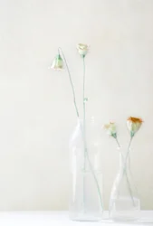 Blasse Blüten im Glas