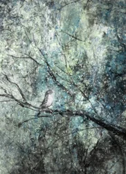 Gelassener Wintervogel