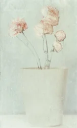 Weiche verblasste Blumen