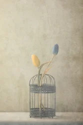 Vintage Käfig-Tulpen