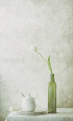 Weißes Tulpen Stillleben