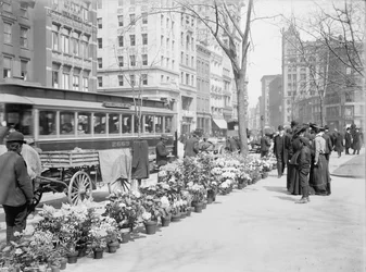 Blumenverkäufer, Osterdekoration, New York City, USA, ca. 1904