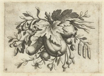 Feston von Früchten (Früchtenbüchlein zum Reisen dienlich)