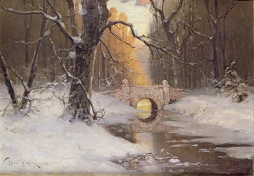 Bewaldete Flusslandschaft