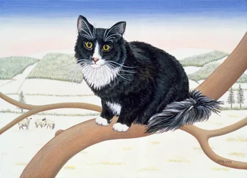 Kahle Äste, Nr.2, 1994