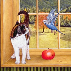 Vogelbeobachtung, 1996