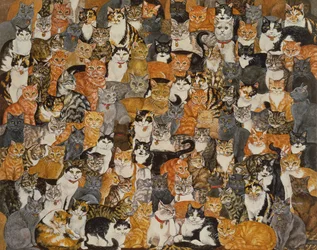 Doppelkatzen-Verbreitung