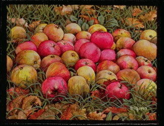 Durnitzhofer Äpfel, 1993