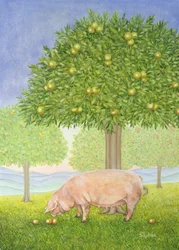 Linke Hand Obstgarten Schwein