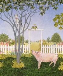 Schwein und Katze