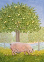 Rechte Hand Obstgarten Schwein