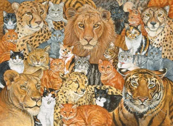 Halbwilde Katze