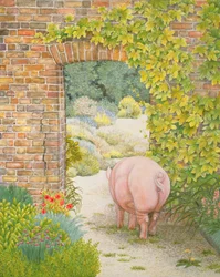 Das Klostergarten-Schwein