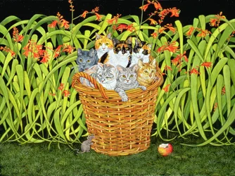 Die Montbretia-Maus