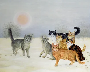 Winter-Katzen