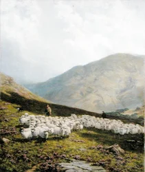 Hirte und Schafe, Perthshire