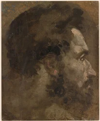 Beccafumi - Kopf eines bärtigen Mannes im Profil nach rechts, ca. 1530-1535
