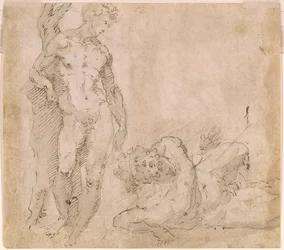 Beccafumi - Verso Männlicher Akt, der sich gegen einen Baumstamm lehnt, und ein liegender männlicher Akt mit zurückgeworfenem Kopf, ca. 1530-1540