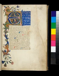 Ms 373. Pseudo-Cicero, Rhetorica ad Herennium, und andere Werke, f.1r. Illuminierte Initiale [E] und Teilrahmen mit Akanthusblatt- und Blumendekoration, die erste Textzeile in weißen Großbuchstaben auf blauem Grund, ca. 1337