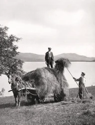 Heu auf einen Wagen laden am Ufer des Loch Lomond, Schottland, 1924-1926