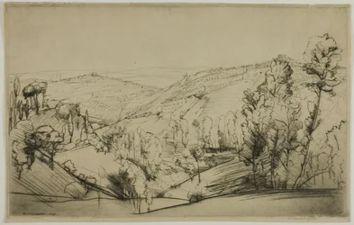 Felder von San Gimignano